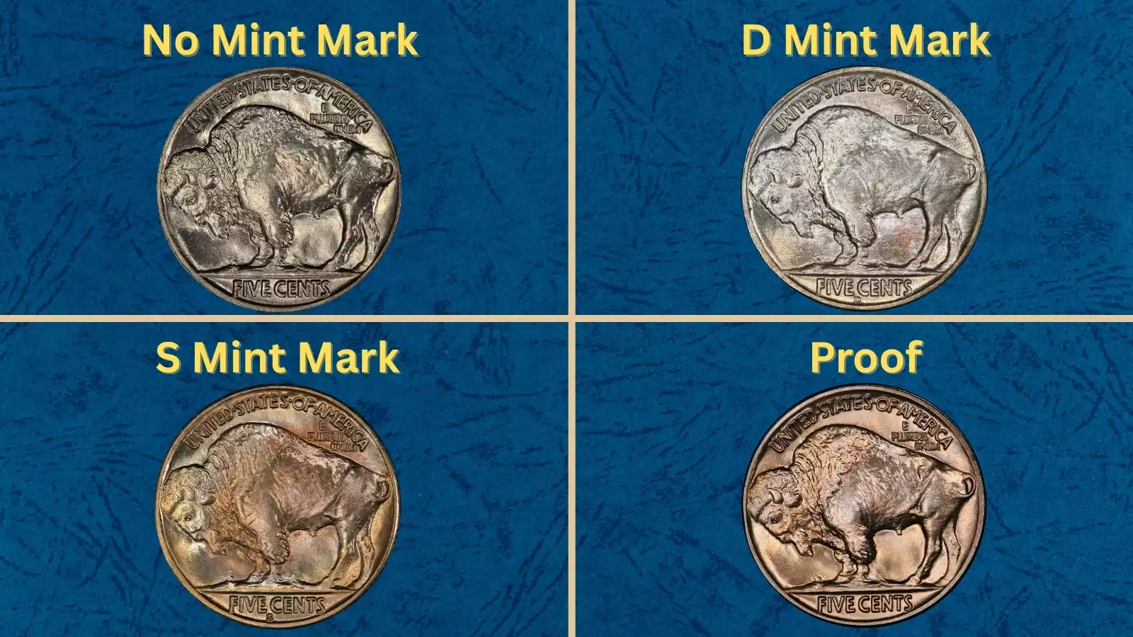 Group of 1936 Buffalo Nickels from all three mints — Philadelphia (no mark), Denver (D), and San Francisco (S) — showing mint mark differences